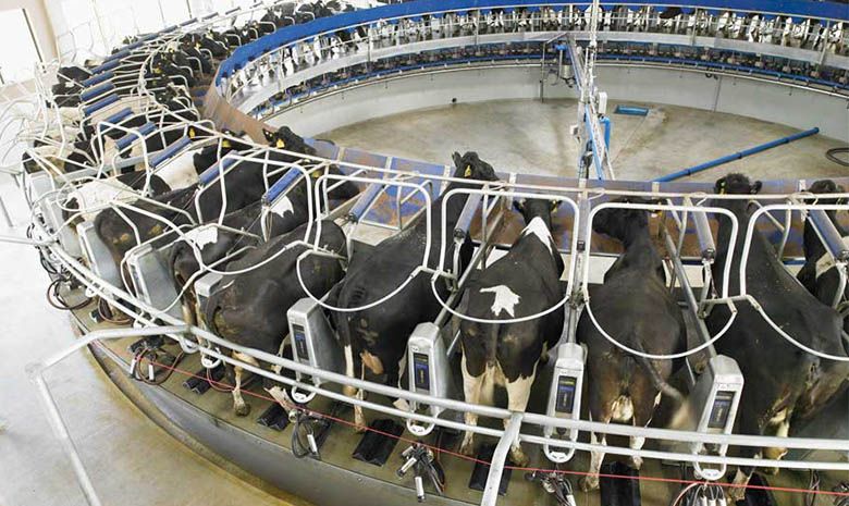 Indicazioni sulla provenienza del latte e latticini: procedono i lavori sul nuovo Decreto